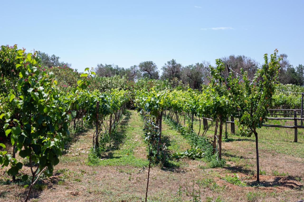 Masseria Messapia Wine Resort & Spa Salento Mesagne Exterior photo